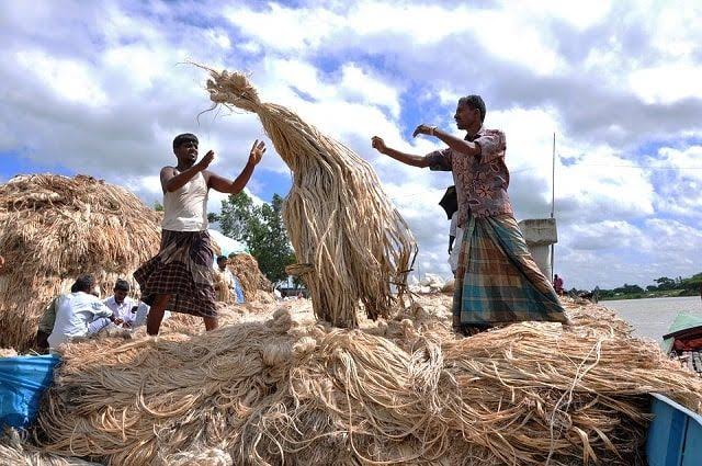 Special initiatives to revive golden era of jute