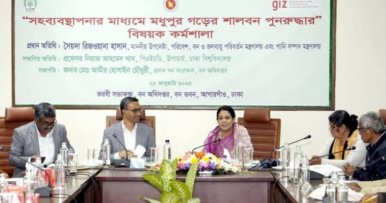 Govt to launch campaign to restore Tangail sal forest in March: Rizwana