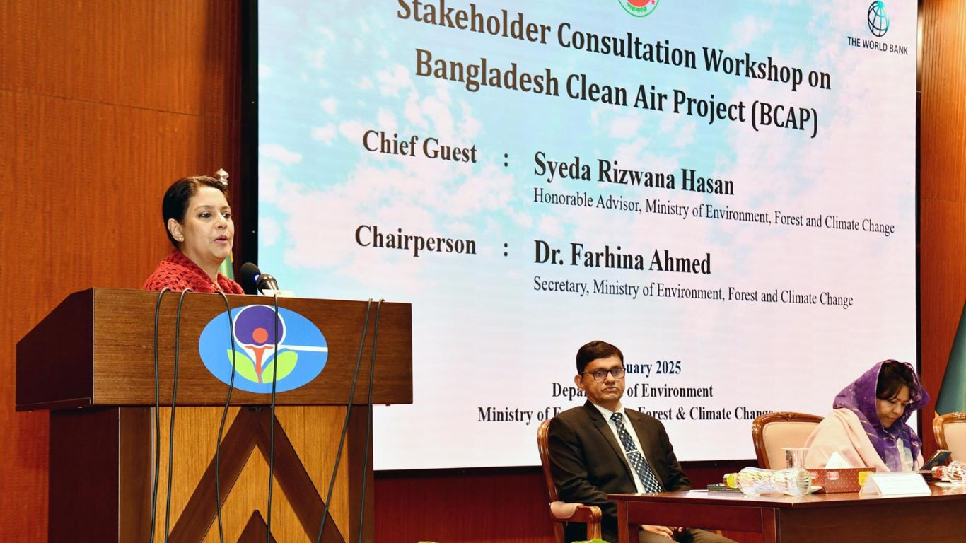 Long-term planning key to tackling air pollution: Rizwana