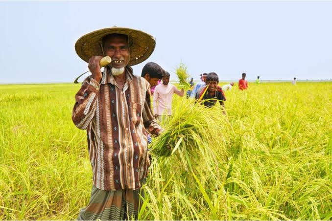 Double-cropping system enhancing farmers’ incomes, agri-tourism