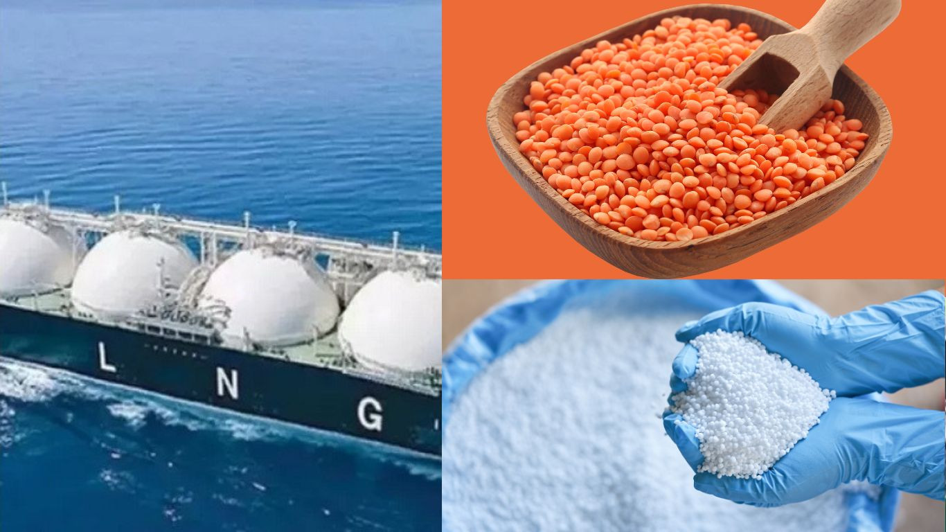 Govt to import LNG, fertiliser, lentil to meet the domestic demands