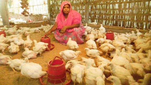 Poultry negotiates the thorny growth path