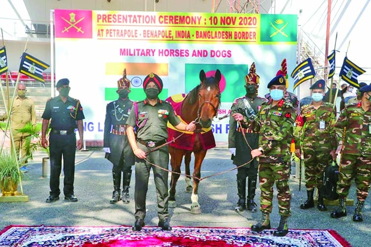 Indian Army gifts 20 trained military horses and 10 detection dogs to BD Army