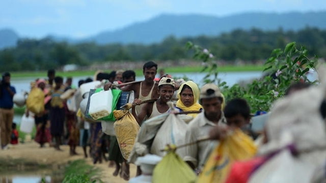 Arun Jaitley assures Kamal of resolving Rohingya issue at earliest