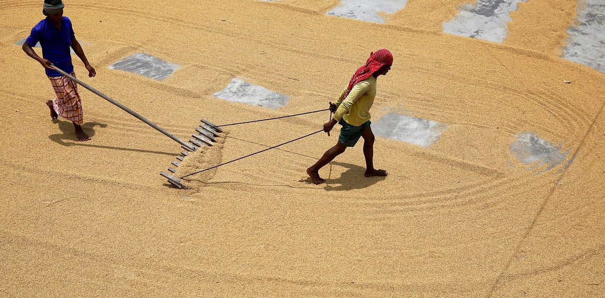 Govt to procure 3.50 lakh MT rice from India, Thailand, Vietnam