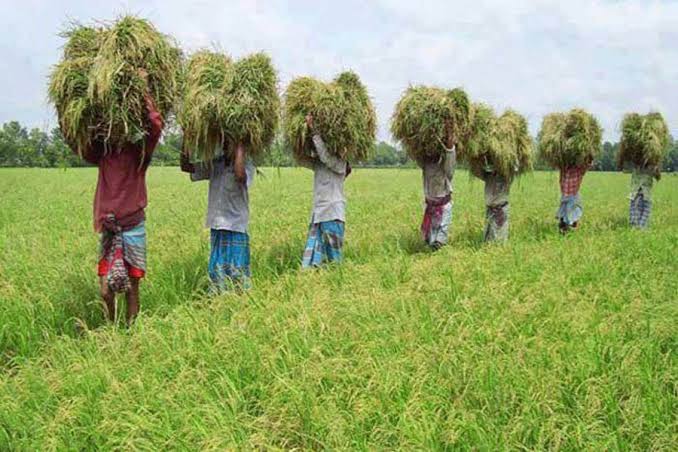 দক্ষিণ এশিয়ায় রেকর্ড মূল্যস্ফীতি, খাদ্য ঘাটতি নেই বাংলাদেশে: বিশ্বব্যাংক