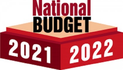 Govt seeks higher growth for lower poverty: Budget document