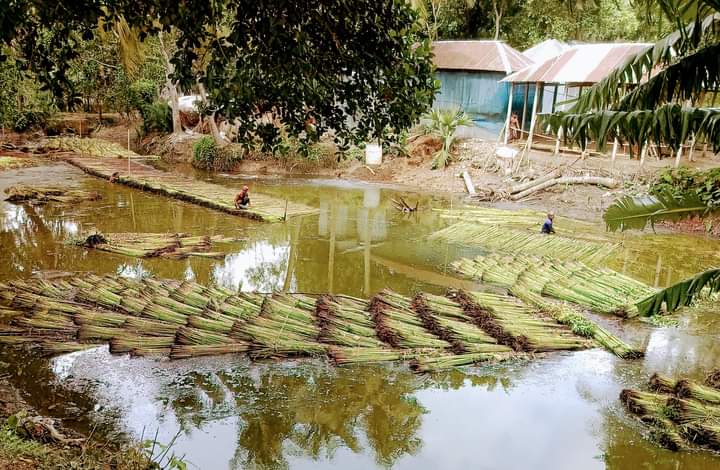 পাটের আশেঁ খারাপ হওয়ার সম্ভবনা