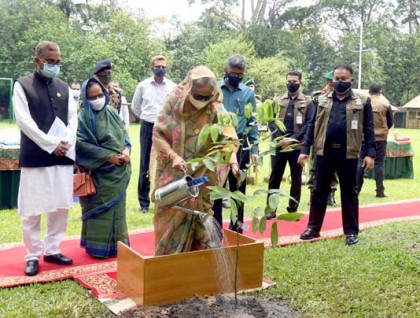 PM launches National Tree Plantation Campaign