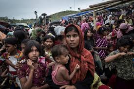 Efforts underway to resume tripartite talks over Rohingya repatriation