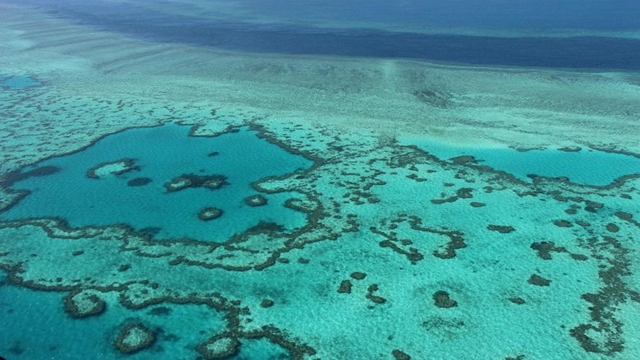 It’s not that bad! Science, tourism clash on Great Barrier Reef