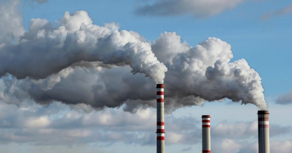 World's carbon emissions on the rise again: IEA