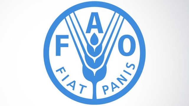 Extreme climate events affect Bangladesh’s food production: FAO