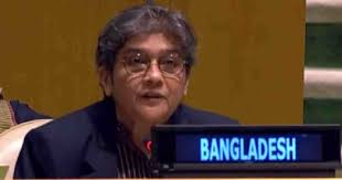 BD calls for ensuring greater safety and security of UN peacekeepers