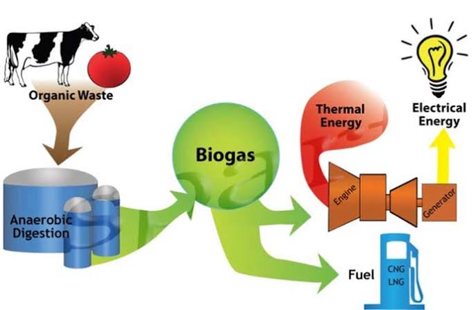 Govt drafts biogas energy guideline