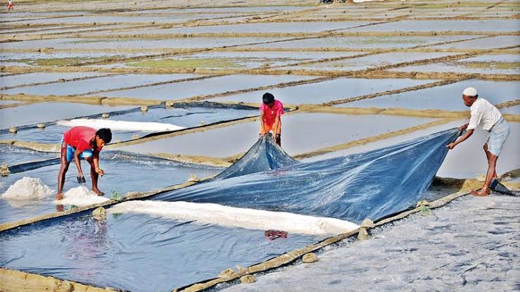 Salt worth Tk 7.5m washed away in Cox's Bazar