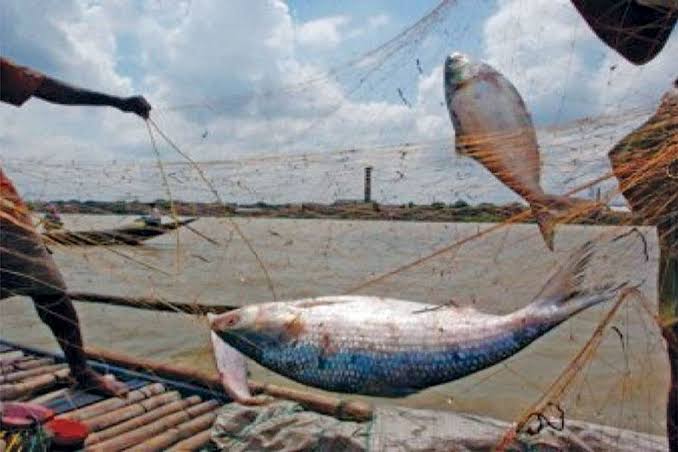 22-day ban on hilsa fishing begins tomorrow