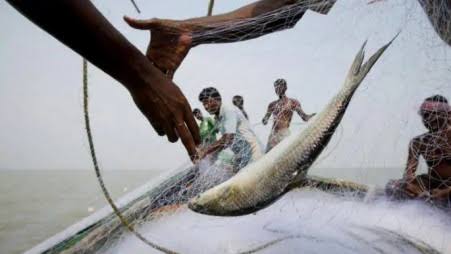 22-day ban on hilsa fishing begins Oct 7