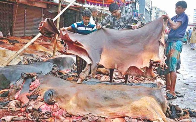 Govt plans fair rawhide prices from next Eid