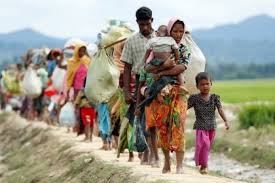 Rohingyas want nothing more than safe return: UN expert